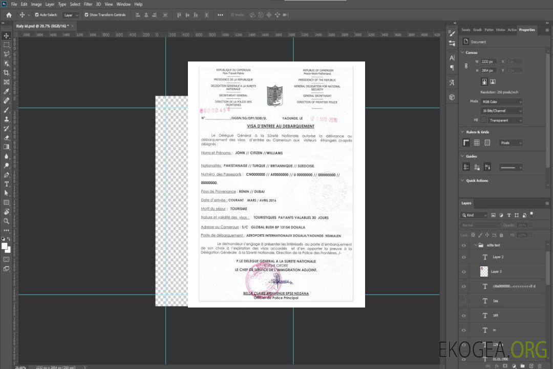 CAMEROUN e-visa template CAMEROUN e-visa template